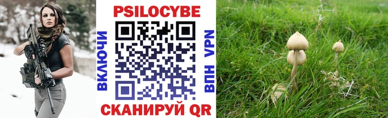 Купить закладки  Надым  Галлюциногенные грибы Cubensis 